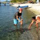 55- Romain frime a cote de Tamaro, le requin nourrice 